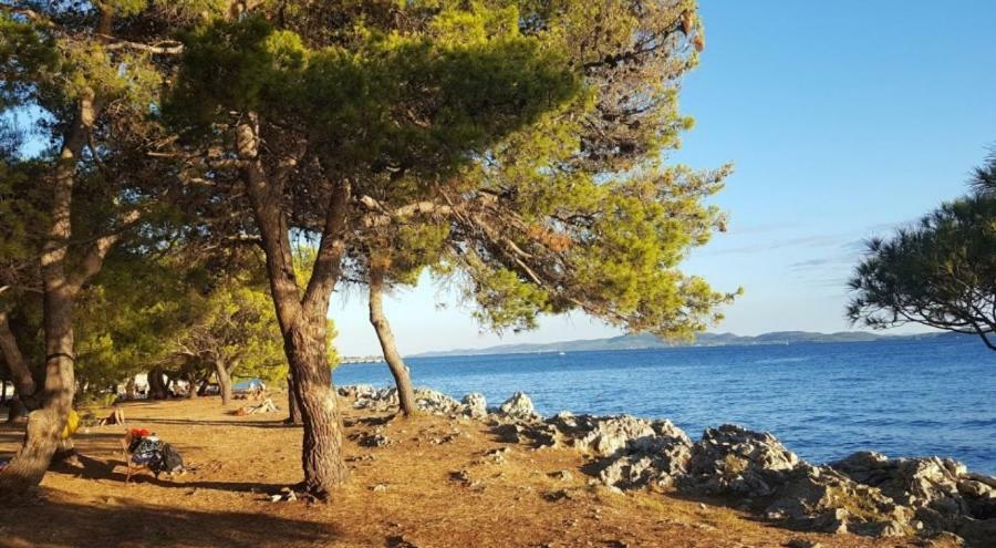 Grey House Zadar Apartment Екстериор снимка